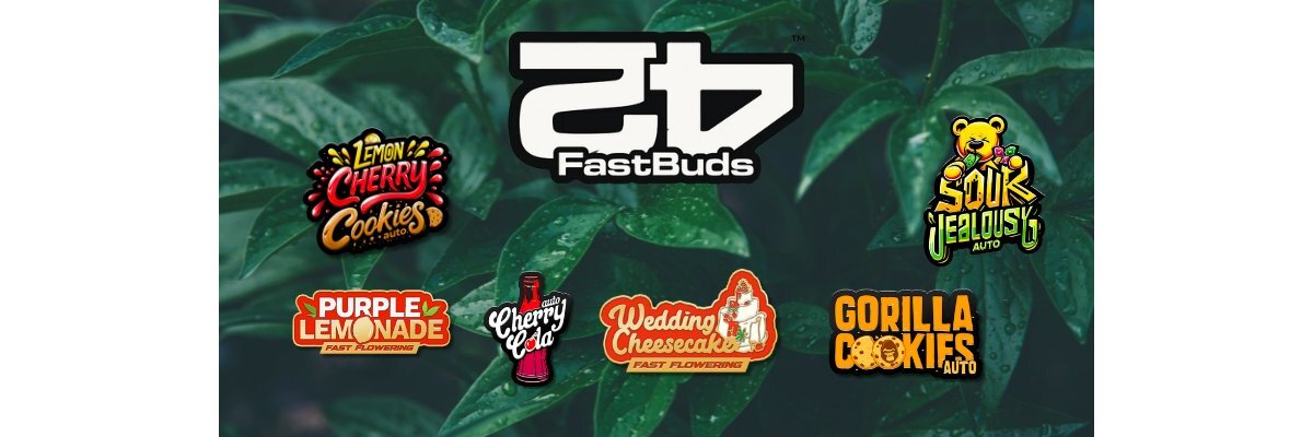 Fast Buds kaufen – Die besten Autoflowering Samen im Überblick - Fast Buds kaufen – Premium Autoflowering Samen online