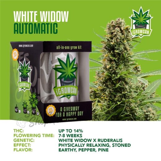 IGrowCan Autoflower Set - White Widow