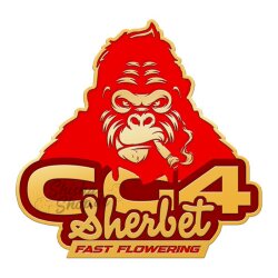 Fast Buds - GG4 Sherbert (Fast Flowering) 2er Pack