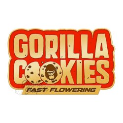 Fast Buds - Gorilla Cookies (Fast Flowering) 3er Pack