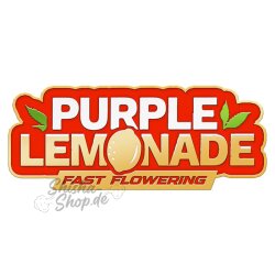 Fast Buds - Purple Lemonade (Fast Flowering) 1 Stück
