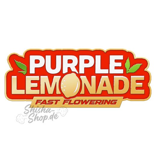 Fast Buds - Purple Lemonade (Fast Flowering) 2er Pack