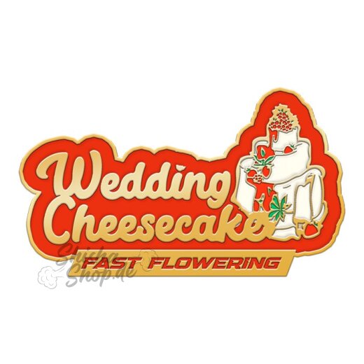 Fast Buds - Wedding Cheesecake (Fast Flowering) 2er Pack