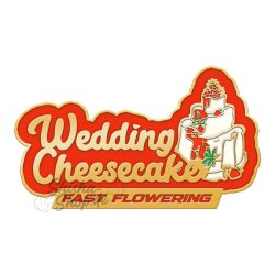 Fast Buds - Wedding Cheesecake (Fast Flowering) 2er Pack