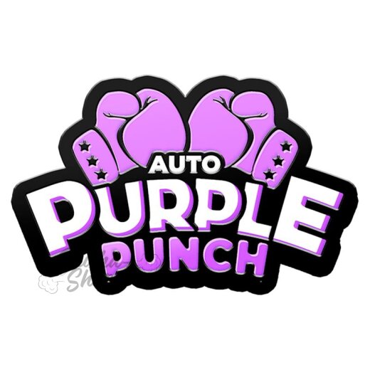 Fast Buds - Purple Punch (Autoflower)