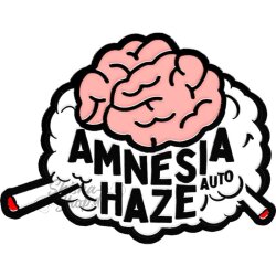 Fast Buds - Original Amnesia Haze (Autoflower) 2er Pack