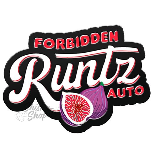 Fast Buds - Forbidden Runtz (Autoflower) 3er Pack