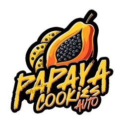 Fast Buds - Papaya Cookies (Autoflower) 2er Pack