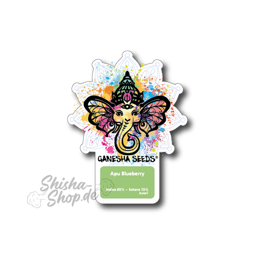 Ganesha Seeds - Apu Blueberry Autoflower 3er Pack