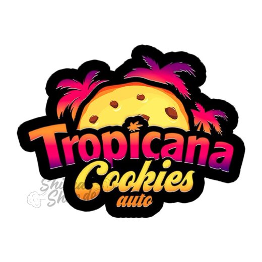 Fast Buds - Tropicana Cookies (Autoflower) 1 Stück