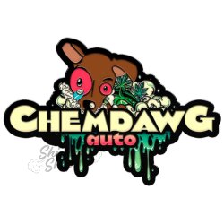 Fast Buds - Original Chemdawg (Autoflower) 1 Stück