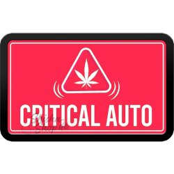 Fast Buds - Original Critical (Autoflower) 2er Pack