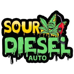 Fast Buds - Original Sour Diesel (Autoflower) 1 Stück