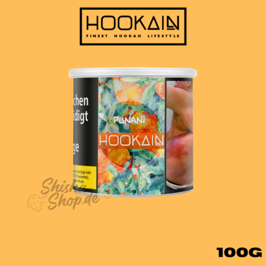 Hookain Shisha Tabak 100g - Punani
