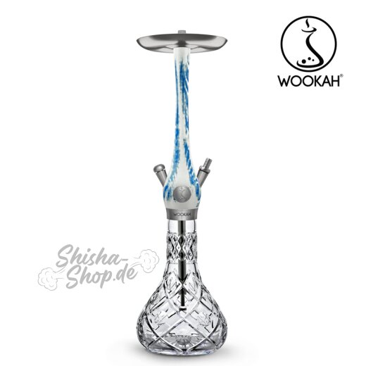 Wookah Shisha Arctic Blue - Olives