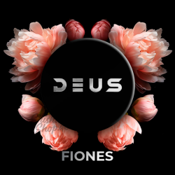 DEUS - FIONES - Shisha Tabak 100g