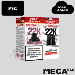 MEGABAR - FIG - GT 22000 Pod + Leerpod